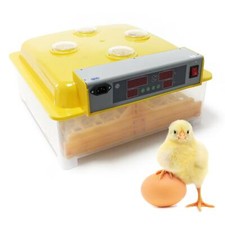 Couveuse automatique 48 oeufs appareil couver incubateur 4 fenêtres surveillanc