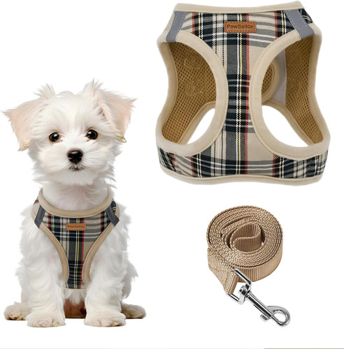 Harnais petit chien avec - harnais,