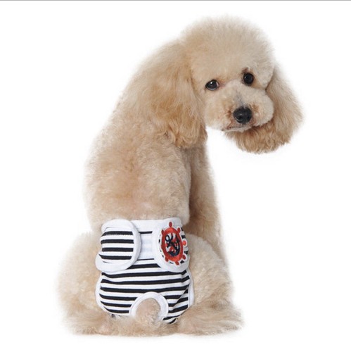 Lavable femelle chien chiot - 2,
