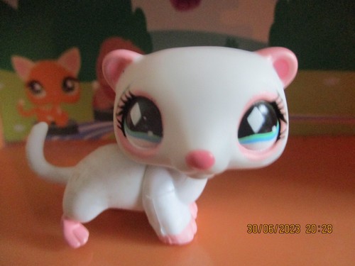 Petshop furet 520 - furet, #520