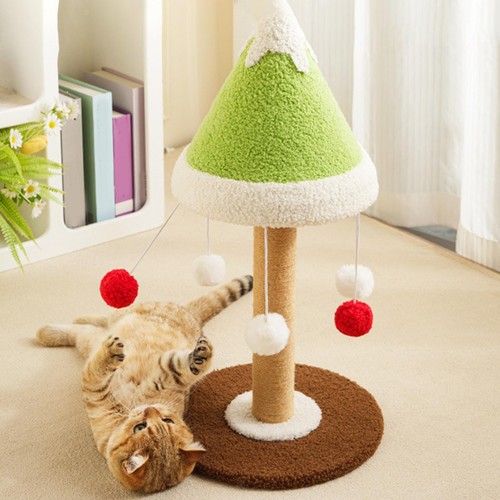 Griffoir pour chat - pour, chat,