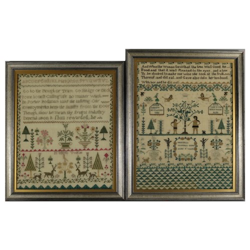 Lot samplers sister - lot,