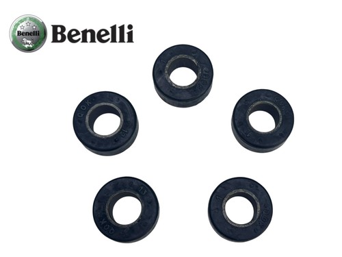 54622s010000 ensemble 5 - 54622s010000,