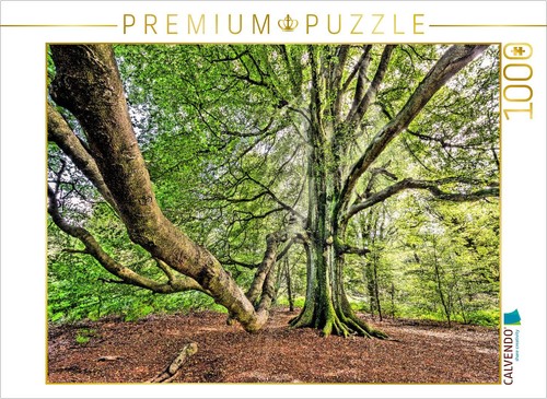 Calvendo puzzle alte - calvendo,