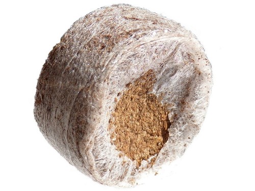 Pastilles coco jiffy - coco, x5