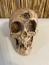 VINTAGE RANDOTTI "VOO DOO" SKULL MARKED RANDOTTI # 831 STILL GLOWS IN THE DARK