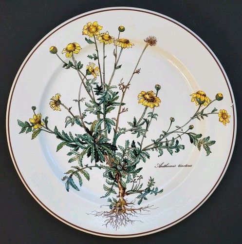 Sublime grande assiette - sublime,