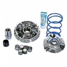 Variateur Et Roulis Polini Hi