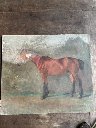 Horse study late 19th - -,