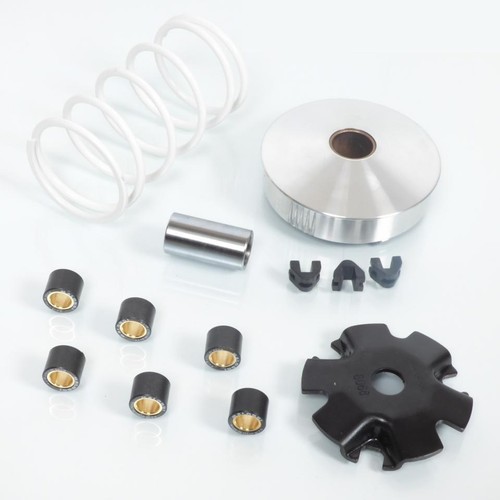 Variateur malossi pour scooter - pour,
