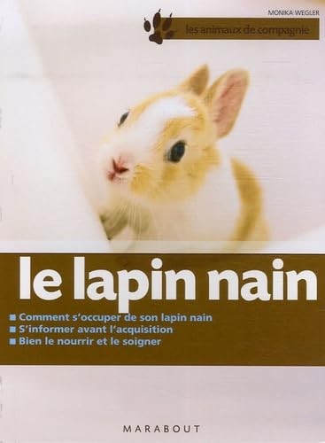 Lapin nain bien - lapin,