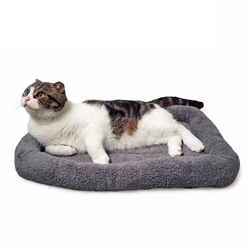 Lit chat panier pour - de,