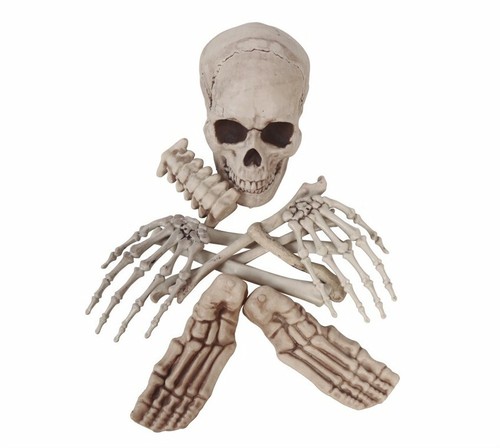 Halloween dispersé os - 12,