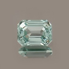 Prime Qualité Vert Naturel