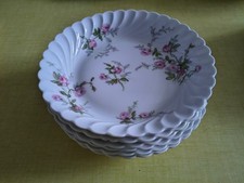 6 assiettes creuses porcelaine
