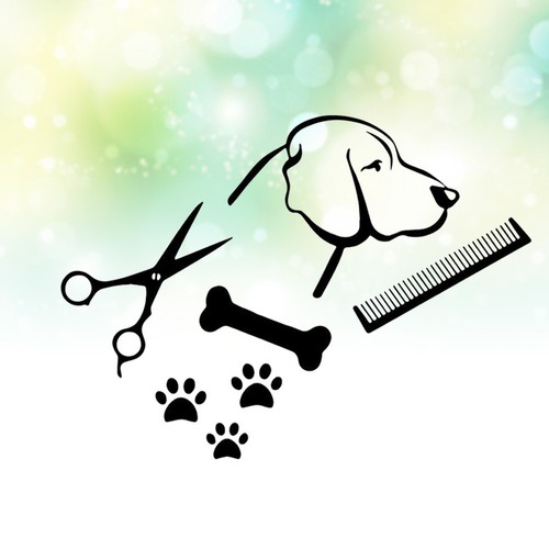 Toilettage salon chien - toilettage,