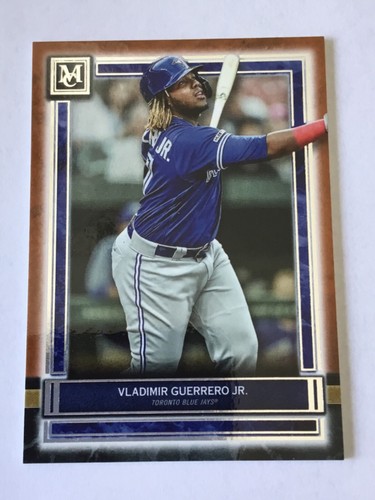 Vladimir guerrero 2020 - guerrero,