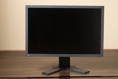 Moniteur eizo flexscan - moniteur,