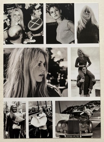 Brigitte bardot carton - brigitte,