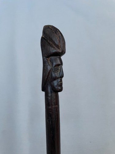 Canne bois exotique - bois,