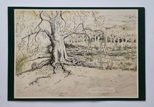 Carte " Old Man Willow " de