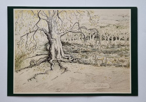 Carte old man - old, willow