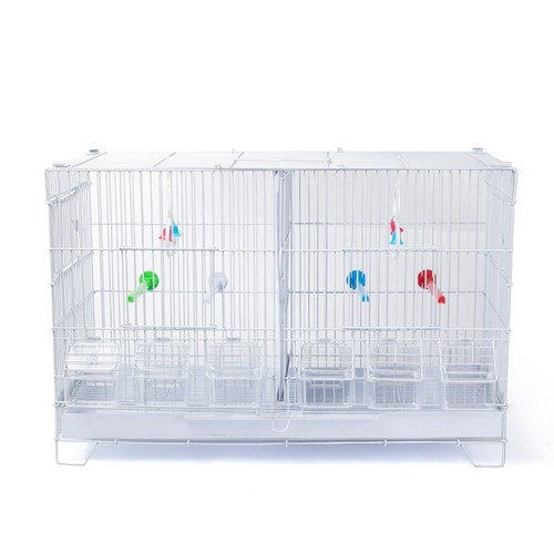 Cage oiseaux avec - à,