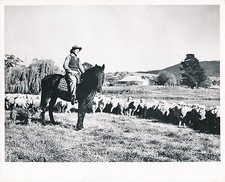 URIARRA c. 1940 - Drover