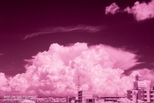 [Near MINT] Nikon D70