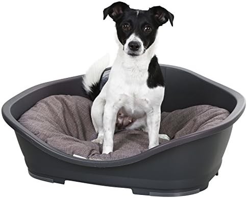 Coussin chien loneta - loneta, gris