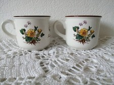 RARE Villeroy & Boch Manufacture Royale et Impériale BOTANICA 2 Tasses