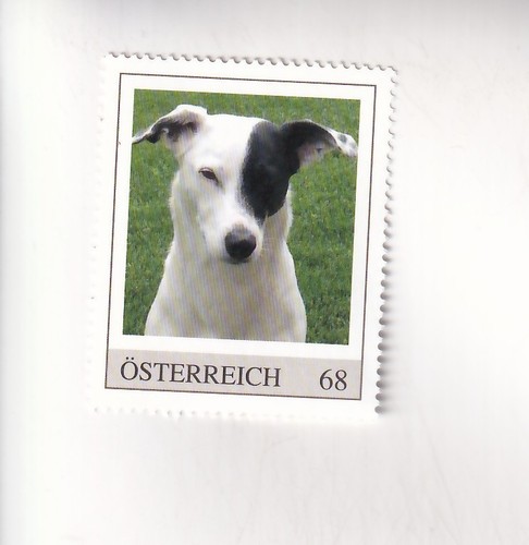 Timbre autriche chiens - timbre,