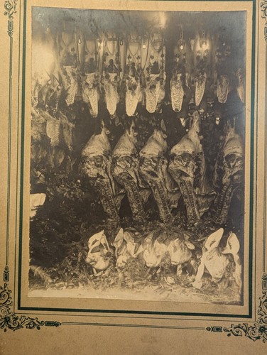 Photo ancienne etal - photo,