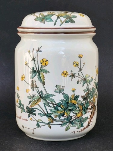 Superbe grand pot - superbe, couvert