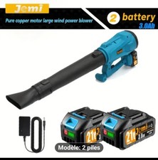 Souffleur De Feuille 