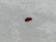 1/18 Peugeot 206 CC Gate Stop Light