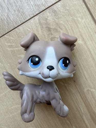 Littlest petshop original - #67,