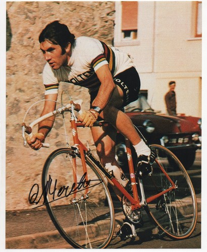 Eddy merckx autographed signed - merckx,