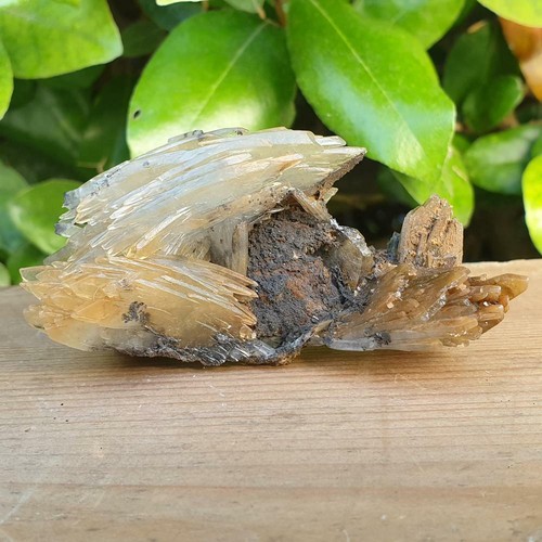 Baryte barytine bleue nador - baryte/barytine,