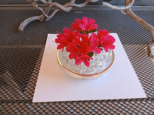 Pique fleurs ceinturé - , argent