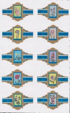 Complete Set of 10 Label Cigar