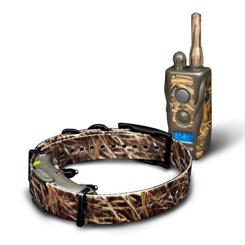 Collier dressage dogtra - collier,