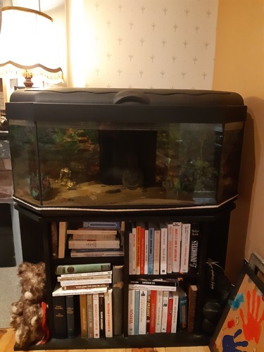Aquarium avec meuble euros - avec, 40