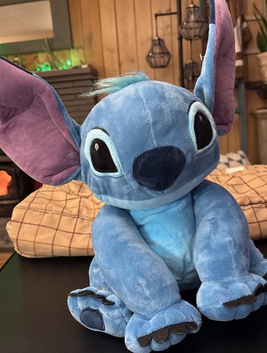 Disney park authentic large - disney,