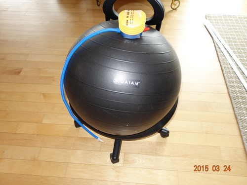 Gaiam ultimate balance ball - gaiam,