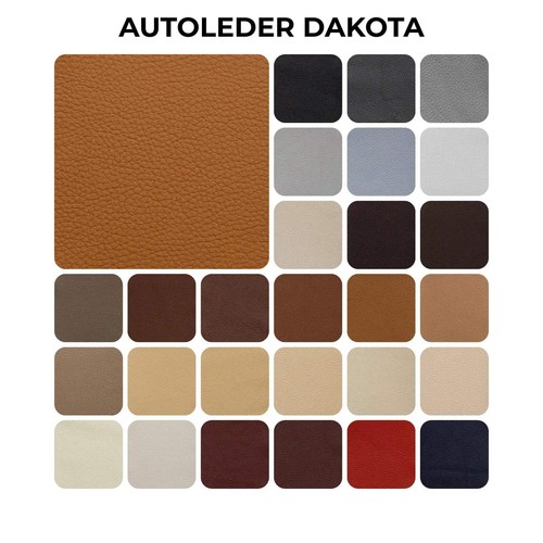 Autoleder bmw dakota cuir - autoleder,