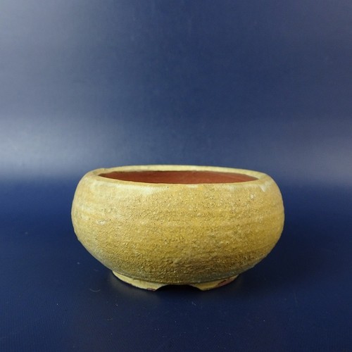 Pot bonsaï japonais seifu - à,