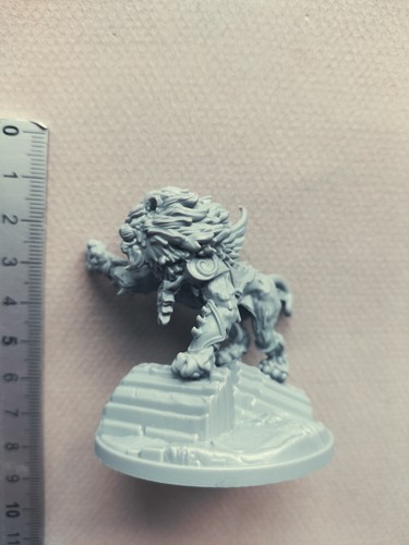 Paladin lion companion - paladin,