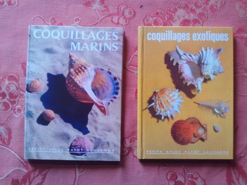 Livres sur les coquillages - livres,