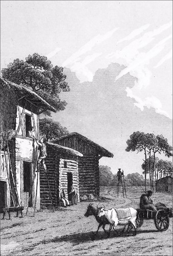 Bergers des landes - landes, leurs
